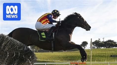 abc horses running today|'Deadly day' at Victorian regional race meeting sees three horses .